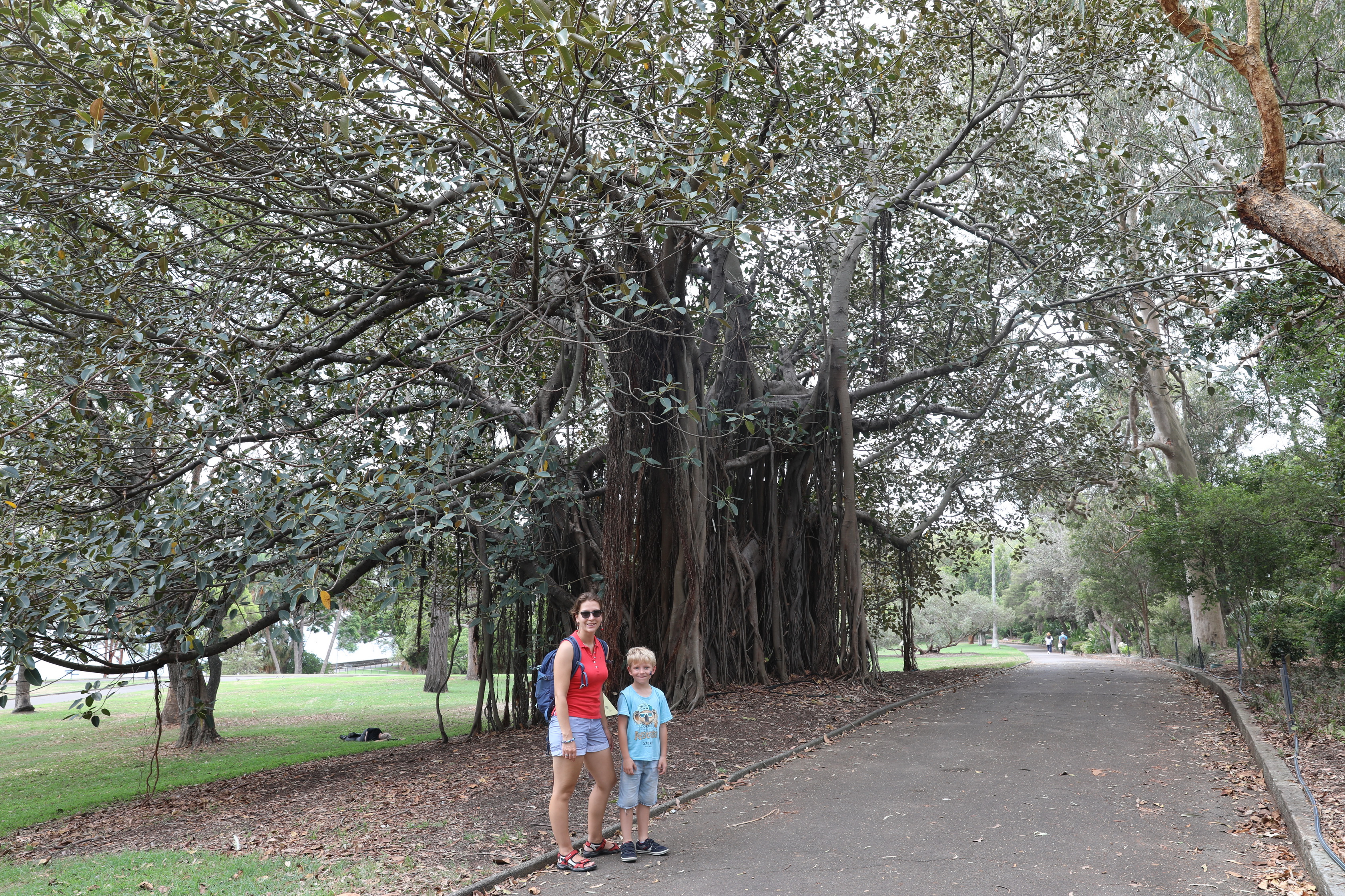 Royal Botanic Gardens